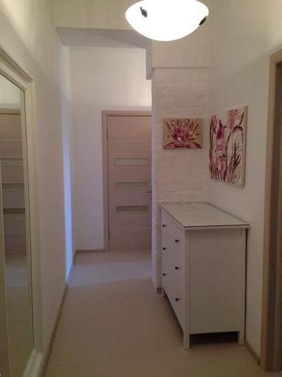 Chieliuskintsiev Apartment Россия, Новосибирск