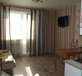 Apartment Frunze 49-129 в Новосибирске