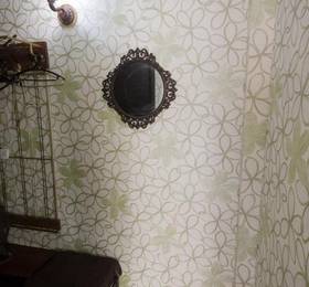 Отдых в Apartment on Vokzalnoy magistrali 17 - Россия, Новосибирск