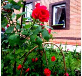 Туры в Homestay Prusskaya в России