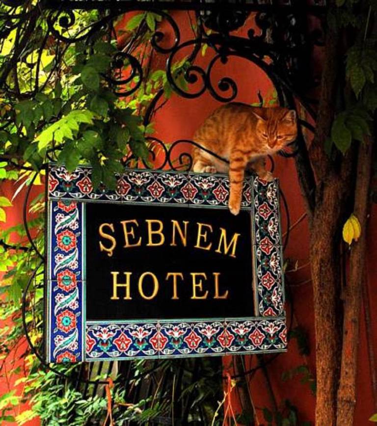 Şebnem Hotel