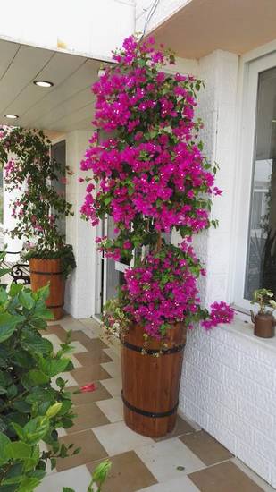 Sifne Termal Otel Турция, Чешме