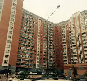 Flat On Snezhnaya 17 в Москве