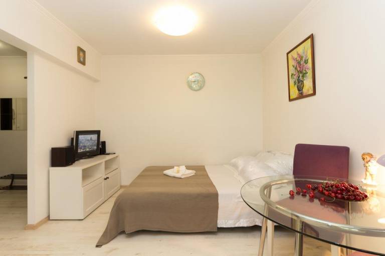 Apartment Kastanaevskaya 3