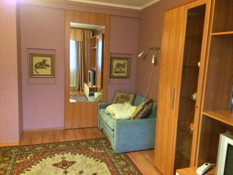 Apartment on Sofyi Kovalevskoy 12