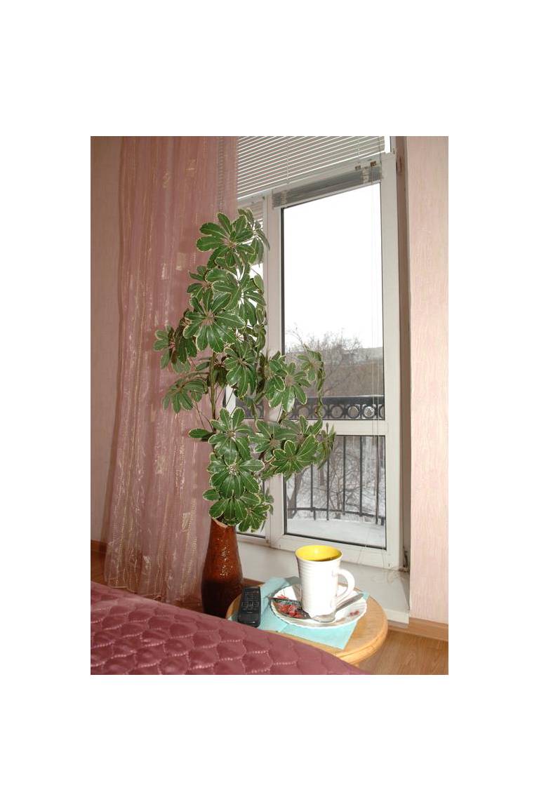 Apartment on Chapaeva 5/1