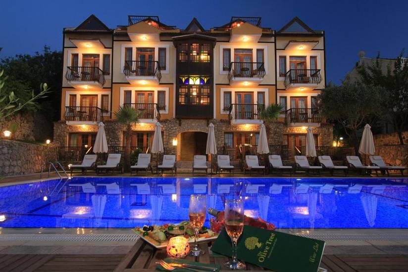 The Olive Tree Studios Турция, Олюдениз