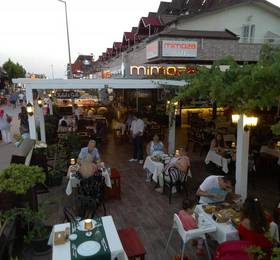 Mimoza Hotel в Олюденизе