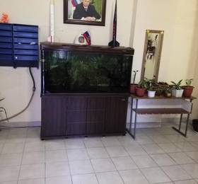 Отдых в Studio on Podmoskovny Bulvar 9 - Россия, Красногорск