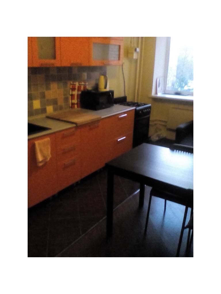 Apartment on Geologov street 4/3