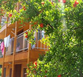 Туры в Olympos Butik Otel в Турции