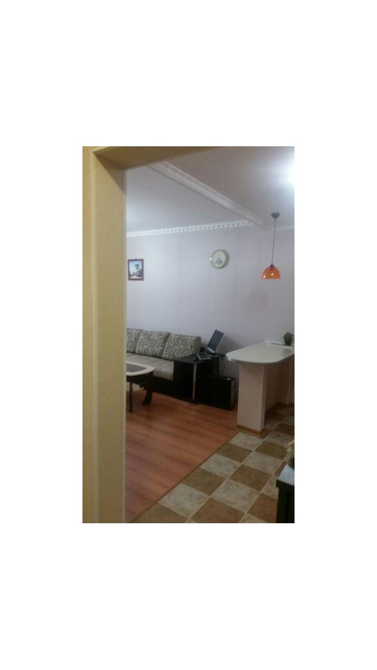 Apartment in Novokurkino