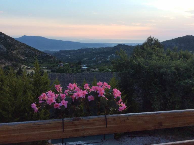 Zeytin Evi
