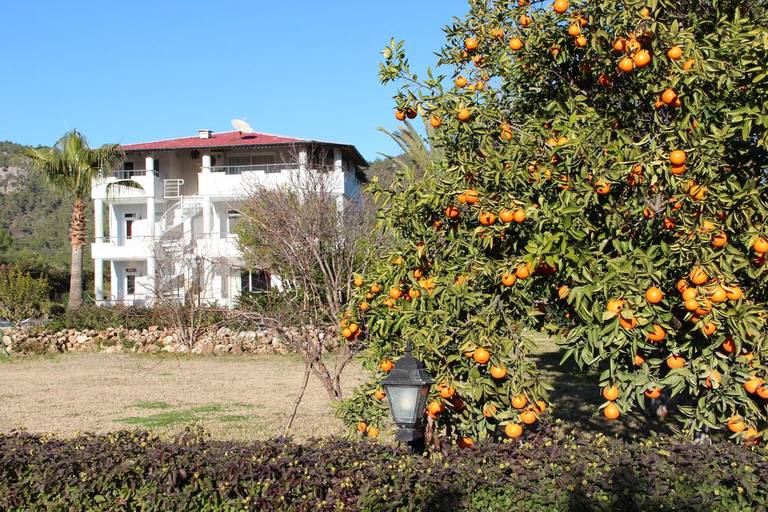 Green Garden Villa