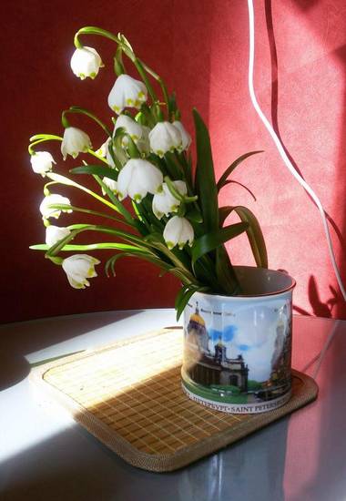 Apartment na Leninskom prospekte 24 Россия, Калининград