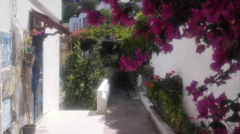 Sea view appartment in Bodrum