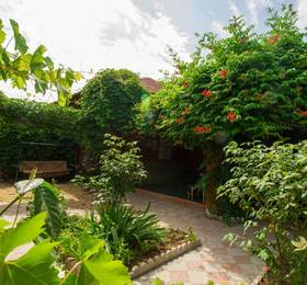 Туры в Guest House Miria в России