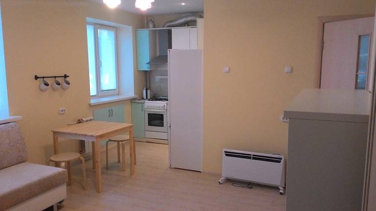 Apartment Krivova 9