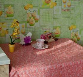 Отдых в Apartment on Krasnyy Mayak 2 A - Россия, Брянск