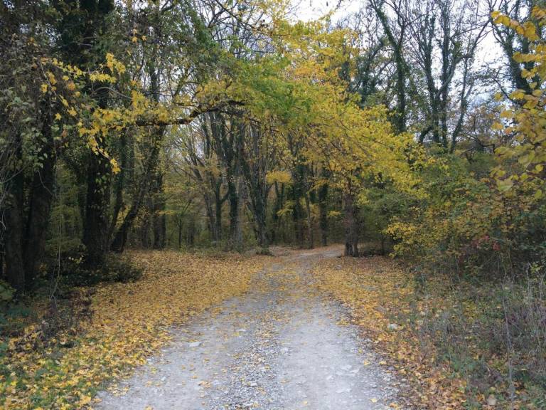 Chernomorskaya Zhemchuzhina