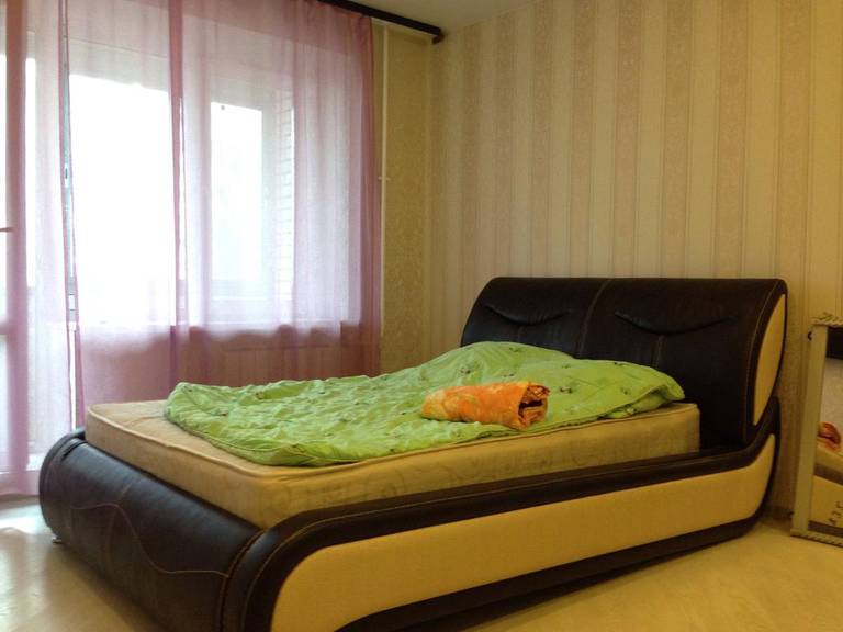 Tsentralnaya Apartament