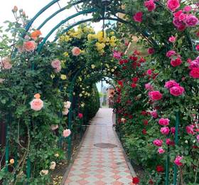 Penaty Guest house в Анапе