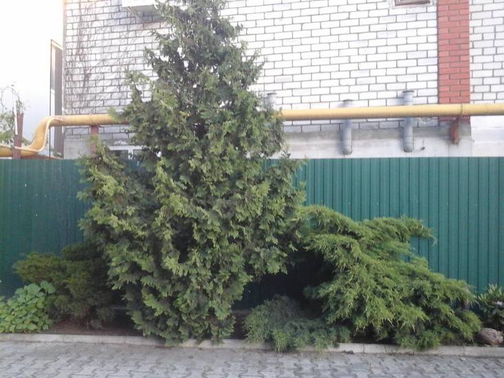 Guesthouse Malinkin Россия, Анапа