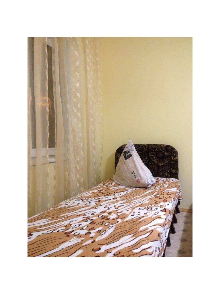 Guest house on Trudyaschihsya 233