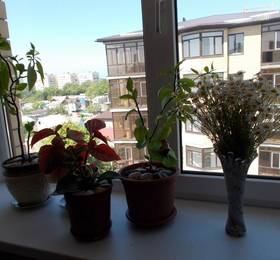 Туры в Apartment na Krasnozelenyh 26 в России