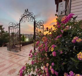 Papaya Hotel в Адлере