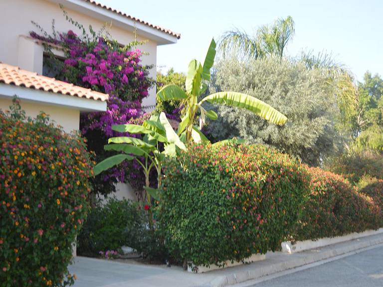 Reginas exclusive villa 1