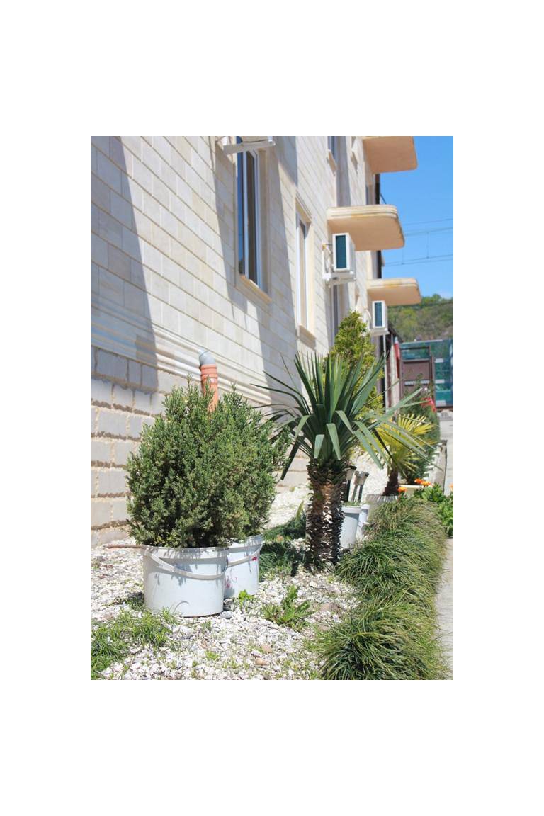 Guest House Cristall