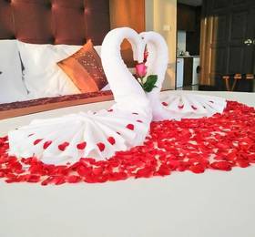 Отдых в Ziniza The Boutique Service Apartment - Таиланд, Бангкок
