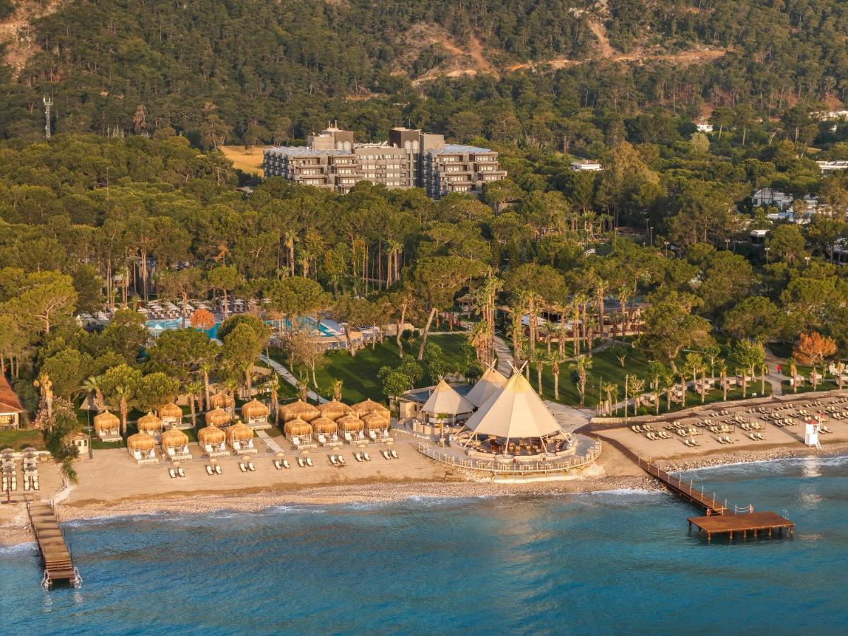 Balmy Foresta  Турция, Бельдиби