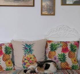 Туры в Armadoros Hotel / Ios Backpackers в Греции