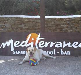 Hotel Mediterraneo в Иосе