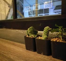 The Sleepless Boutique Hostel в Бангкоке