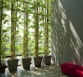 NIDA Rooms Plubpla Bangkapi 591 в Бангкоке