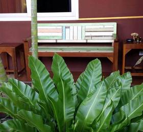 Baan Baimai Boutique room в Аюттхае