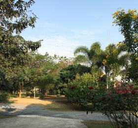 Туры в Better Weather Homestay в Таиланде