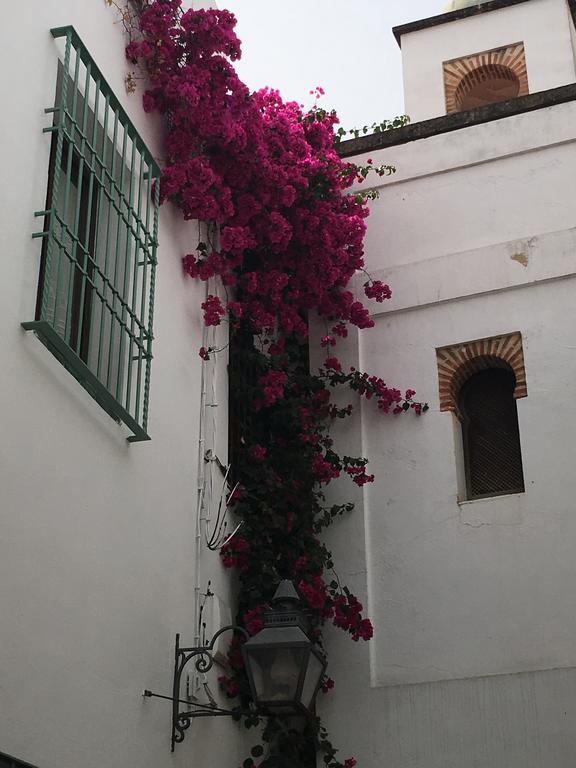 Apartamentos La Hoguera