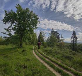Туры в Hotel Zenit Jardines de Uleta Suites в Испании