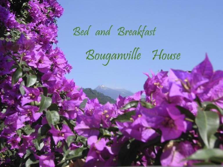 Bouganville House