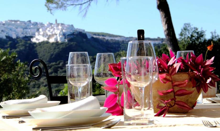 Finca La Herradura Испания, Вьер де ла Фронтера