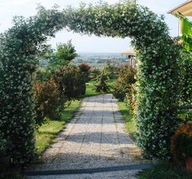 Отдых в Agriturismo Montigliano - Италия, Витербо