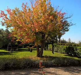 Отдых в Agriturismo Spazzavento - Италия, Винчи