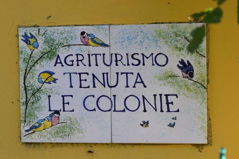 Tenuta Le Colonie