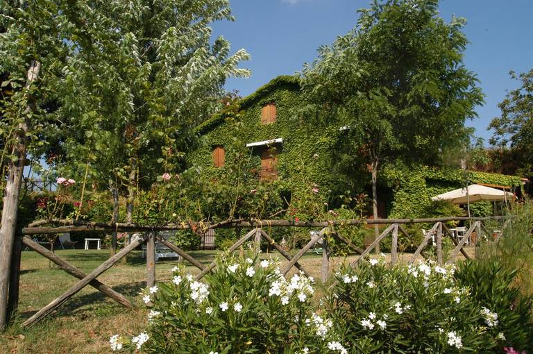 Quadrifogli