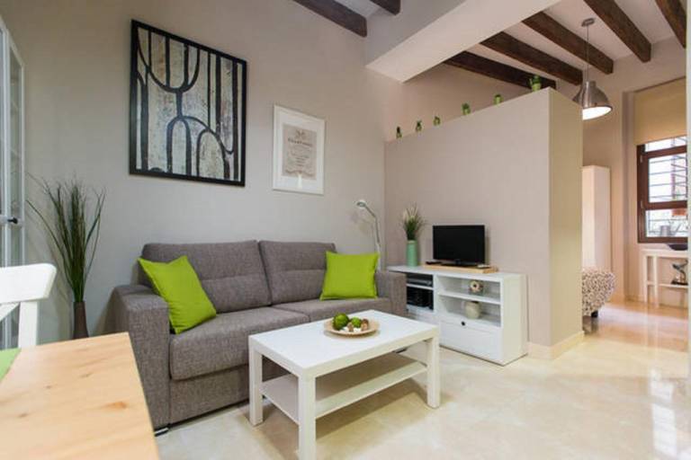 Encantador Loft Macarena Alameda