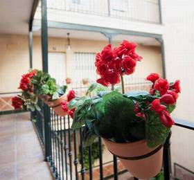 Туры в Corrala en Triana в Испании